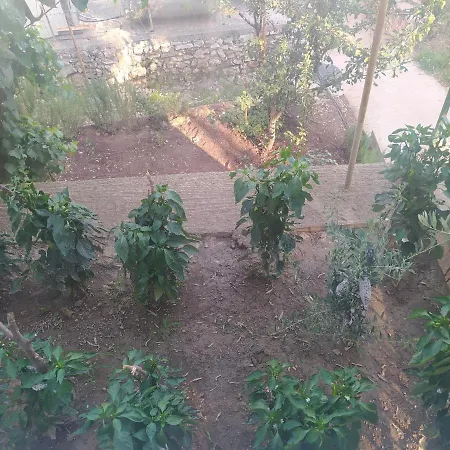 Holiday home Shehu's House