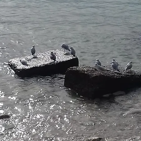 Holiday home Shehu's House *