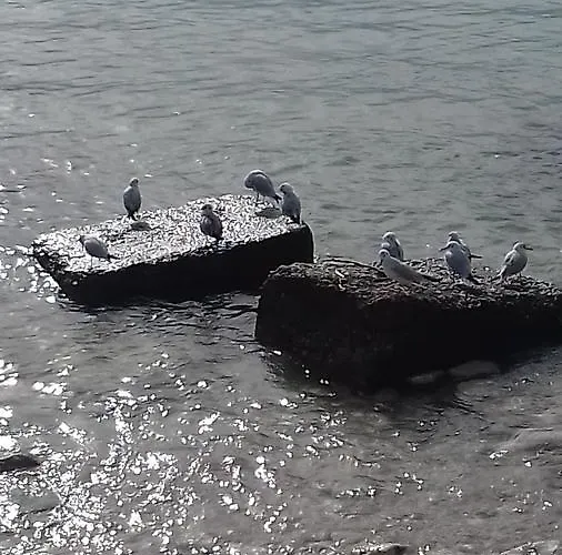 Hébergement de vacances Shehu's House *