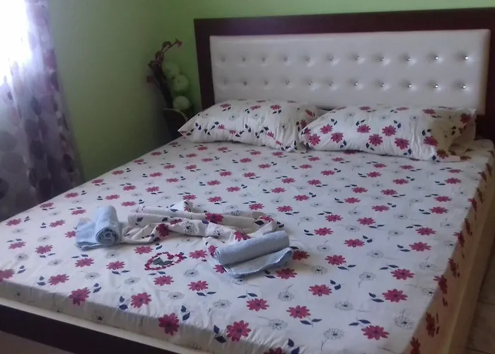 Hébergement de vacances Shehu's House