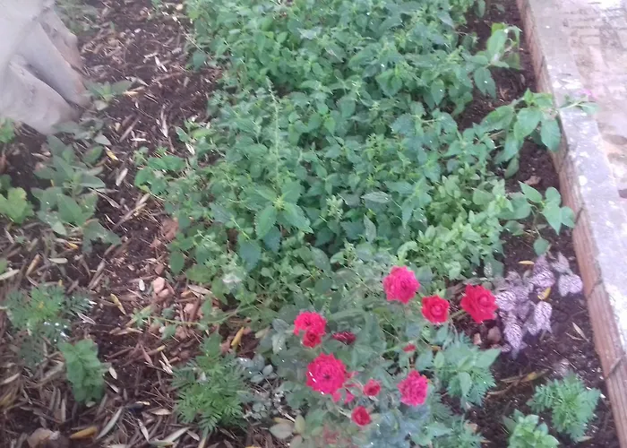 Hébergement de vacances Shehu's House