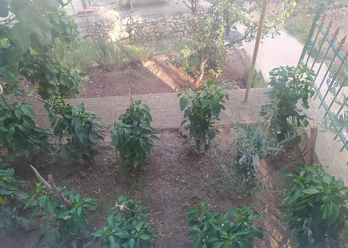 Tatil Evi Shehu's House