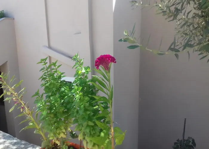 Tatil Evi Shehu's House